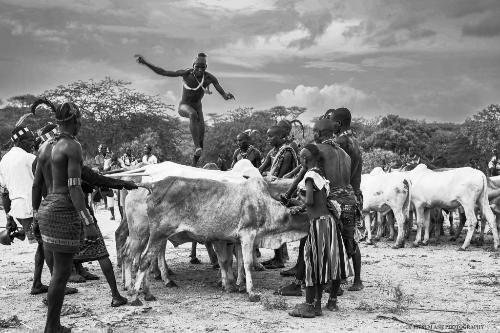 The best  Season for Experiencing Bull Jumping in the Omo Valley
